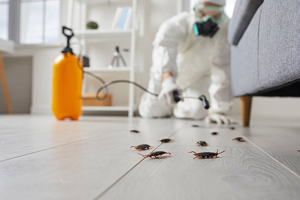 Trusted Cockroach Control service in Kennewick, WA - Nex Pest Control
