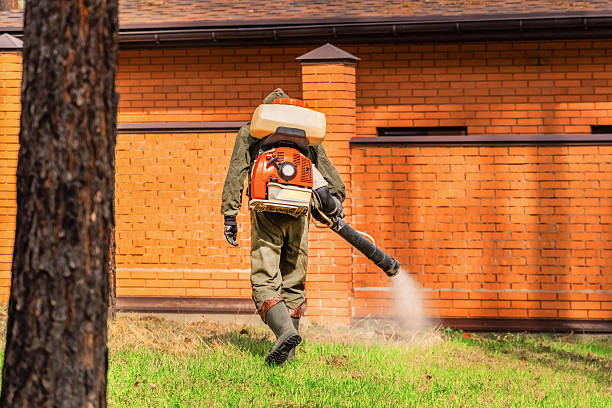 Trusted Rodent Control service in Kennewick, WA - Nex Pest Control